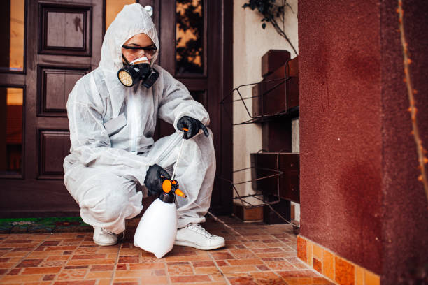 Reliable Rodent Control contractor in Boca Raton, FL by Nex Pest Control