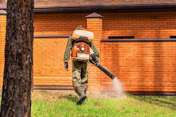 Trusted Ant Control service in Boca Raton, FL - Nex Pest Control